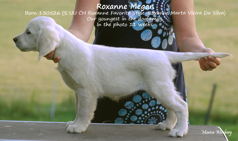 Roxanne Megan1